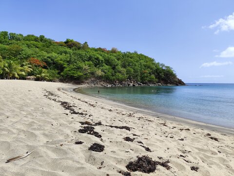 Petite Anse, in Pointe Noire, beach landscape in north of Basse Terre, and Caribbean sea in Guadeloupe in daylight. Idyllic vacation destination in lesser antilles. 