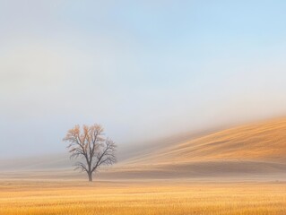Lone Tree in a Misty Open Field at Dawn