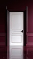 Elegant white door against a rich burgundy wall, creating a striking contrast in a modern interior design.