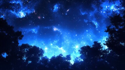 Fototapeta premium The blue sky of twilight giving way to a star-filled galaxy, with silhouetted trees in the foreground.