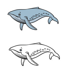 humpback whale. hand drawn. outline. line art. easy to edit. vector illustrations