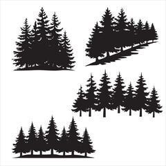 Obraz premium evergreen trees silhouette