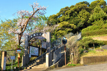 早朝の吾妻山公園登り口の景色