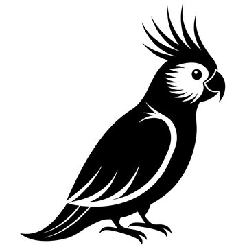recommend clip art: cockatiel  on a branch
