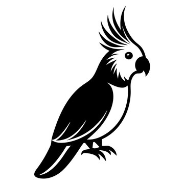 recommend clip art: cockatiel  on a branch