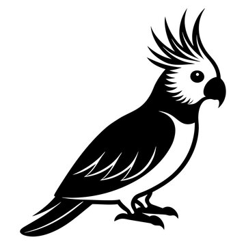 recommend clip art: cockatiel  on a branch