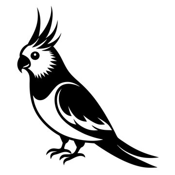 recommend clip art: cockatiel  on a branch