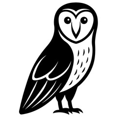 owl on white background