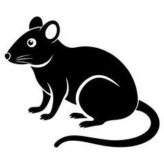 mouse on a black