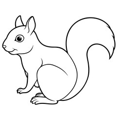 squirrel line art