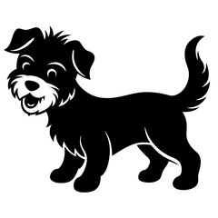 black and white puppy