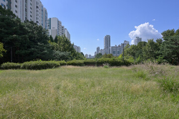 韓国の新都市：盆唐（ブンダン・Bundang）の街並み