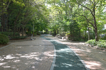 韓国の新都市：盆唐（ブンダン・Bundang）の街並み