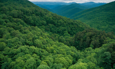 Obraz premium 짙은 안개에 가려진 신비로운 산 풍경 멋진 봉우리 풍경