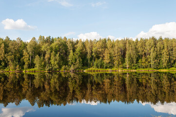 Calm river with trees reflected in the water. Shuya River in Karelia, Russia. Sunny summer day