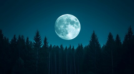 A serene night scene featuring a bright full moon illuminating a dark forest backdrop.