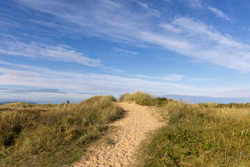 Trail and dunes on beach with blue sky and clouds background