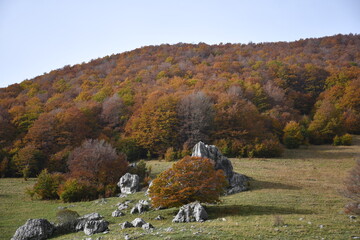 Jesienne kadry z pięknego Abruzzo, Italia.