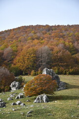 Jesienne kadry z pięknego Abruzzo, Italia.