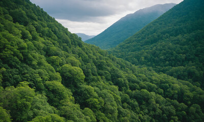 Obraz premium 짙은 안개에 가려진 신비로운 산 풍경 멋진 봉우리 풍경