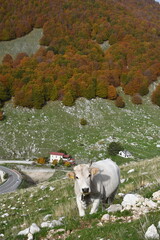 Jesienne kadry z pięknego Abruzzo, Italia.