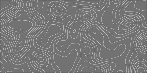Abstract background with topographic map gray background. The stylized height of the topographic map contour in gray lines. gradient multicolor wave curve lines banner background design.