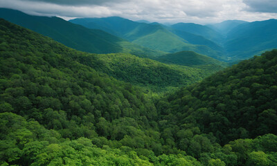 Obraz premium 짙은 안개에 가려진 신비로운 산 풍경 멋진 봉우리 풍경