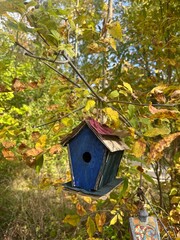 bird house