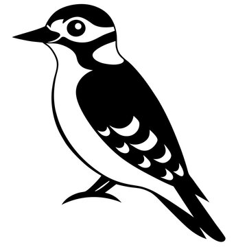 recommend clip art: downy  woodpecker  on white