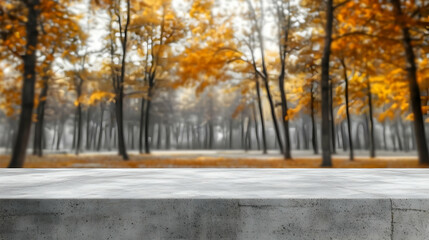 Autumn Vibes with Empty Concrete Background