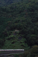  山深い中央本線を駆け上るEF64-1030号機牽引の甲府行カシオペア紀行_2024/10/19撮影