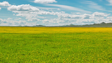 Obraz premium Spring Green Field with Distant Mountains, Copy Space