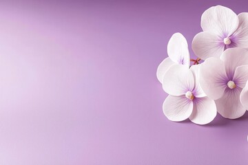 Delicate orchids on a soft purple background, perfect for floral aesthetics and design.