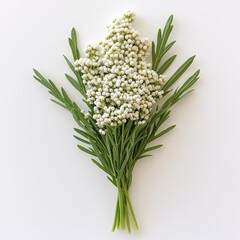 Obraz premium Elegant white flower bouquet with green foliage on a white isolated background.