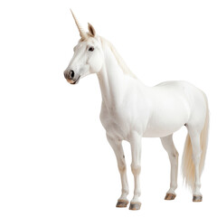 Unicorn, white isolate background