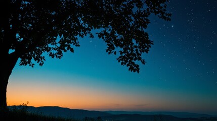 Fototapeta premium Blue hour sky with stars emerging, and the faint outlines of the galaxy blending into the evening scene.