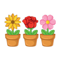 Flowers in flowerpots isolated on white background. Vector illustration.