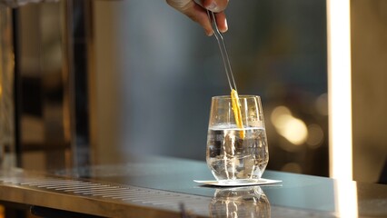 Closeup bartender hand placing fresh gin fizz drink adding sliced orange serving VIP customer at bar counter club greeting welcome guess refresh beverage for pub restaurant advertisement. Vinosity.