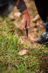Person cutting mushroom from the ground with a knife