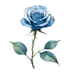 Minimalist watercolor blue rose with isolated background, Blue rose with isolated background, Watercolor blue rose with isolated background.
