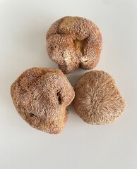 Three dried Lion's Mane mushrooms on a white table