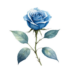Blue rose with isolated background, Watercolor blue rose with isolated background, Minimalist blue rose illustration with plain background.