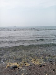 Portrait of a beach view on a sunny day with coral rocks on the beach