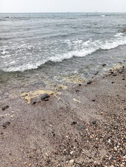 Portrait of a beach view on a sunny day with coral rocks on the beach