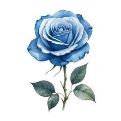 Vintage blue rose with isolated background, Watercolor blue rose with isolated background, Minimalist watercolor blue rose with isolated background.
