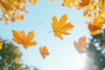 Obraz premium Vibrant autumn leaves floating in the air