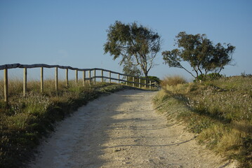 Paisaje con camino o senda del parque natural de La Mata, en Torrevieja, Alicante. Espa&ntilde;a