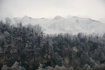 Obraz premium swiss landscape with trees and mountains
