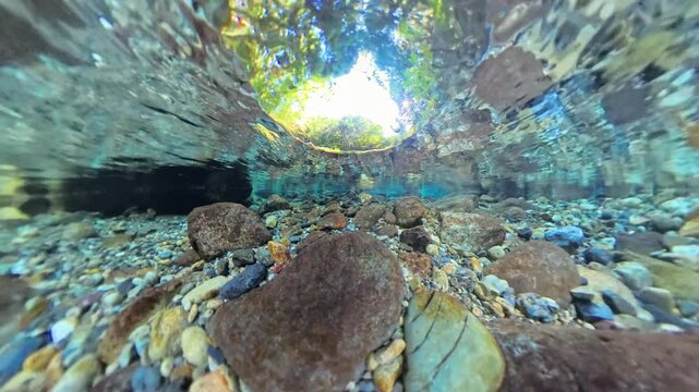 岐阜県郡上市美並の水辺の森　矢納ヶ淵の青く透き通る水中動画