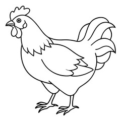 Hen